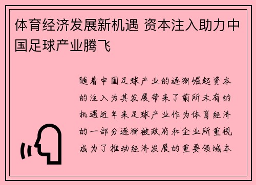 体育经济发展新机遇 资本注入助力中国足球产业腾飞