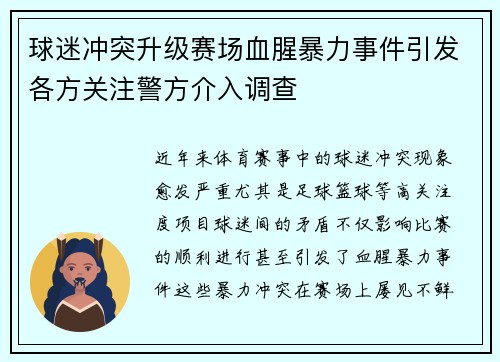 球迷冲突升级赛场血腥暴力事件引发各方关注警方介入调查